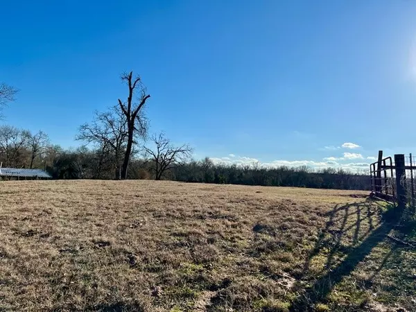 Buffalo, TX 75831,9036 County Road 329