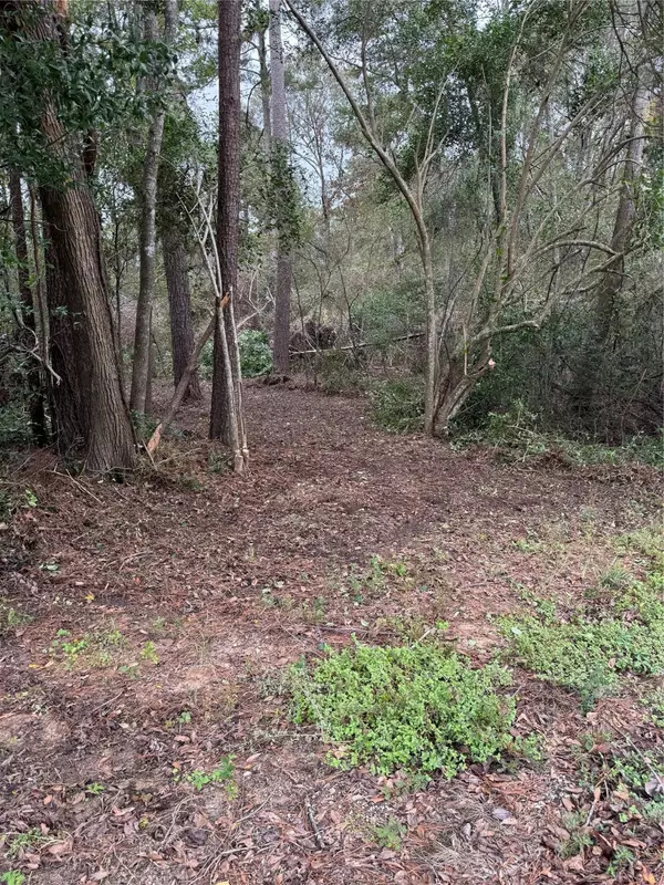 1611 ATHENS DR, Roman Forest, TX 77357