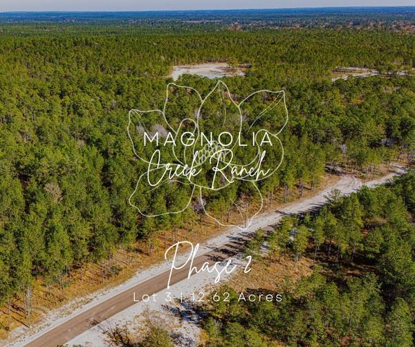 023 Magnolia Ranch RD, Onalaska, TX 77360