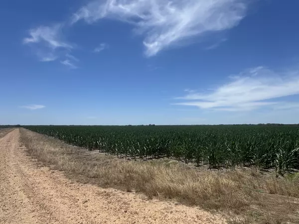 Louise, TX 77455,TBD Cr 335 RD
