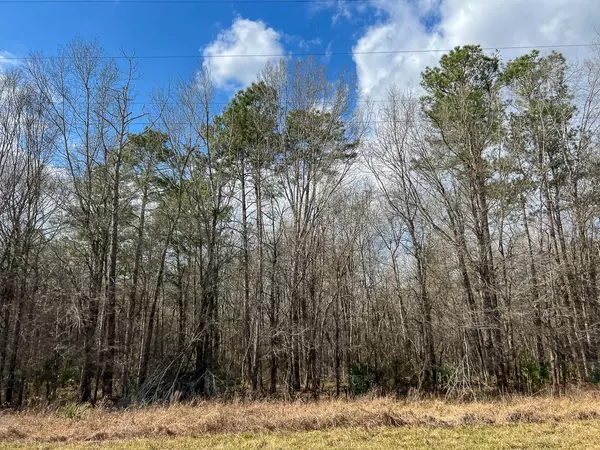 Saratoga, TX 77585,1 FM 770