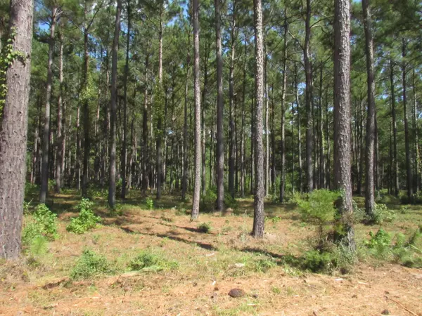 Woodville, TX 75979,0004 FM 256 N