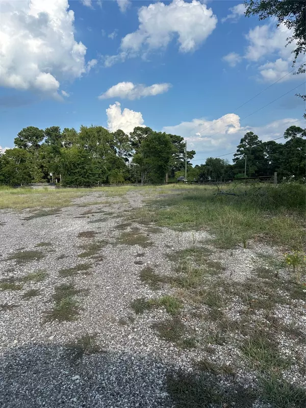 237 OAK ST, Onalaska, TX 77360