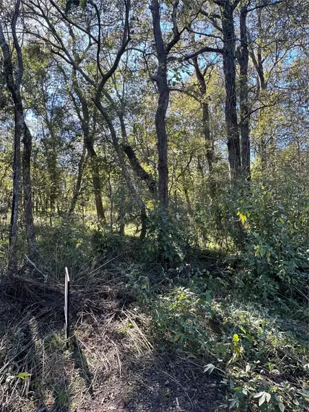 0 Oak Forest DR, Guy, TX 77444