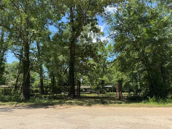 06 Peach Creek Forest, New Caney, TX 77357