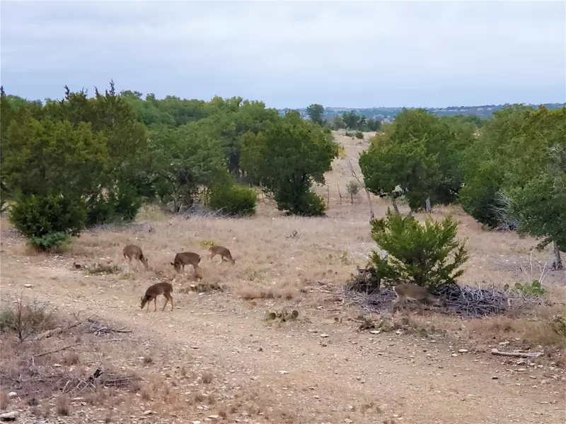 989 Cedar Ridge RD, Junction, TX 76849