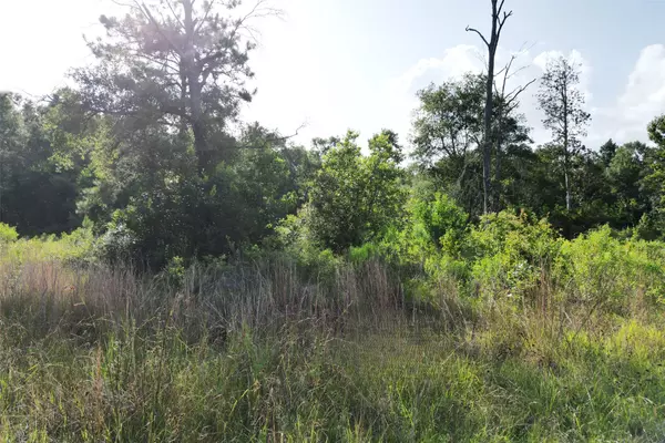 Kountze, TX 77625,000 N Hwy 326