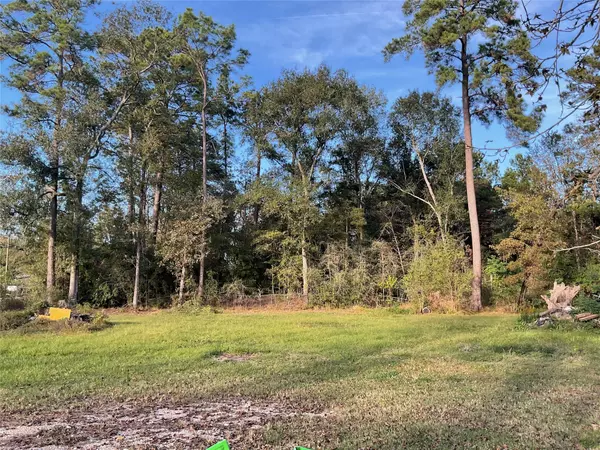 New Caney, TX 77357,23701 Vick Dr / 22401 Russell DR