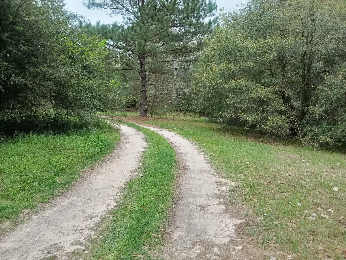 Woodville, TX 75979,417 Sir Robert Burns DR