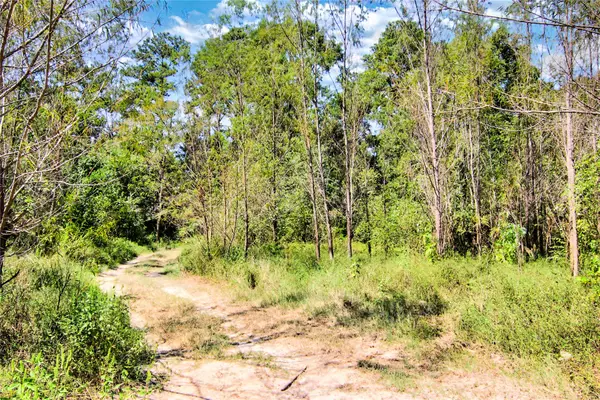 Bon Wier, TX 75928,445 County Rd 4081