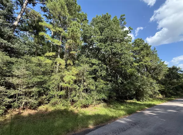 TBD Grand Flower DR, Plantersville, TX 77363