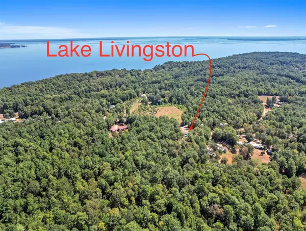 Coldspring, TX 77331,350 Stage Coach RD