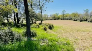 Centerville, TX 75833,4849 Pr 1310