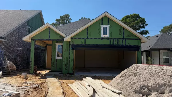 Tomball, TX 77377,21447 Gazania Daisy LN