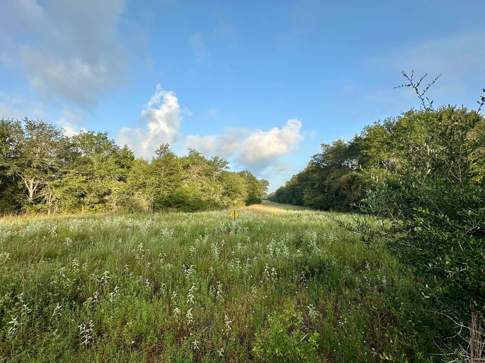 000 Sandy Creek Rd, Garwood, TX 77442