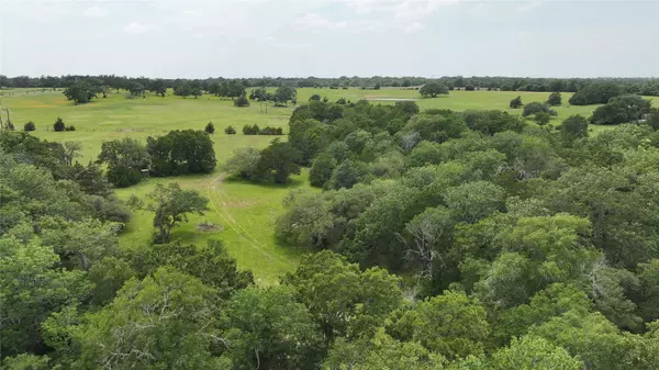 Brenham, TX 77833,00 Greenvine RD