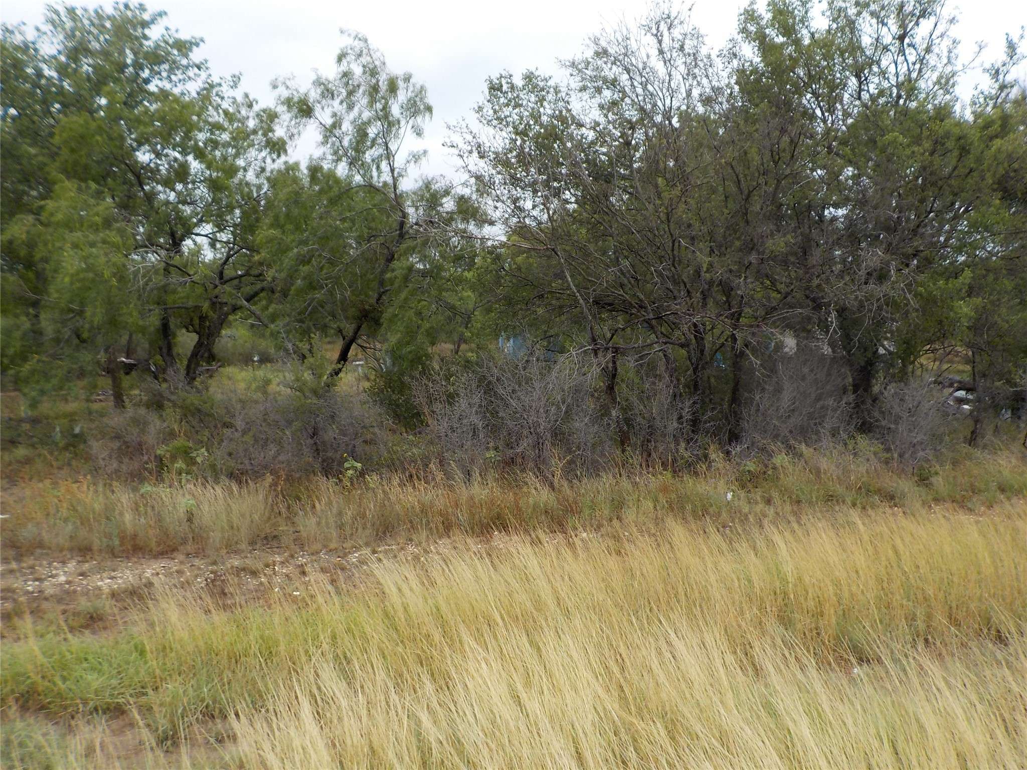 10091 N US HWY 83 W, Uvalde, TX 78801