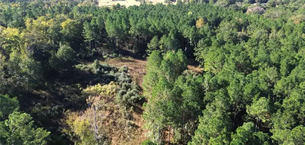 Grapeland, TX 75844,TBD CR 2265