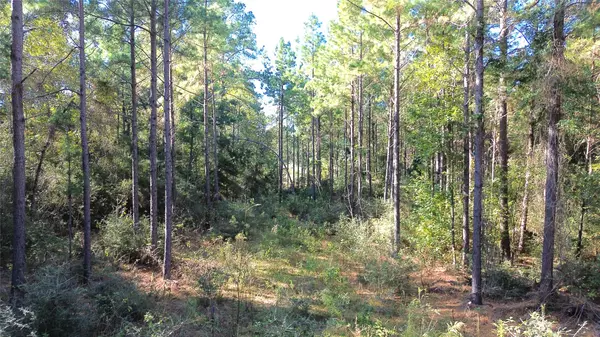 Grapeland, TX 75844,TBD CR 2265