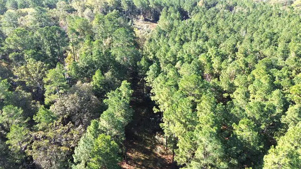 Grapeland, TX 75844,TBD CR 2265