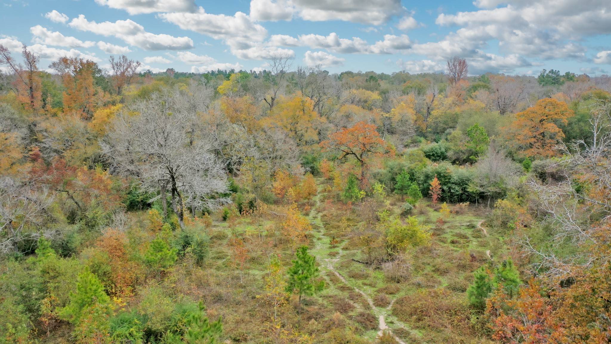 Midway, TX 75852,TBD Newport LN