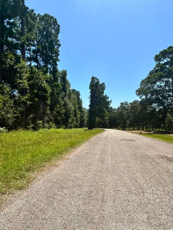 Waller, TX 77484,00000 Willow Bend