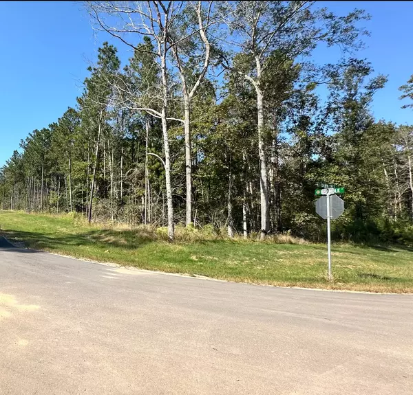 Willis, TX 77378,11530 E Bramble CT