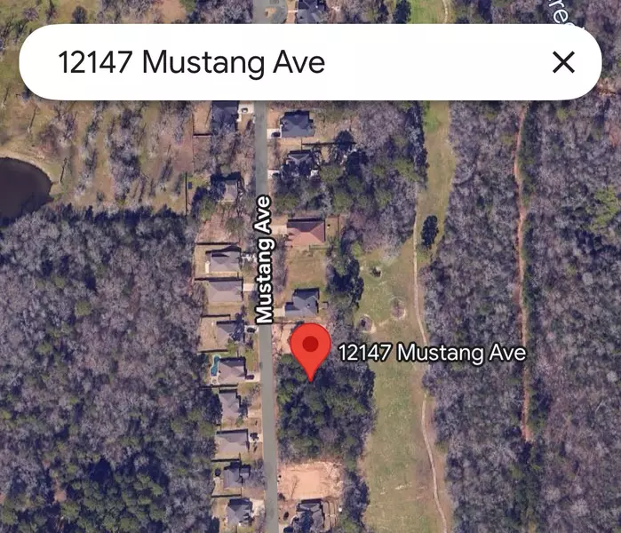 12147 Mustang Avenue, Willis, TX 77378