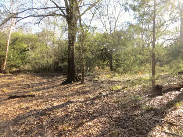 Hallettsville, TX 77964,8003 County Road 122