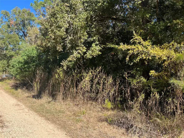 Livingston, TX 77351,TBD Arrowhead TRL