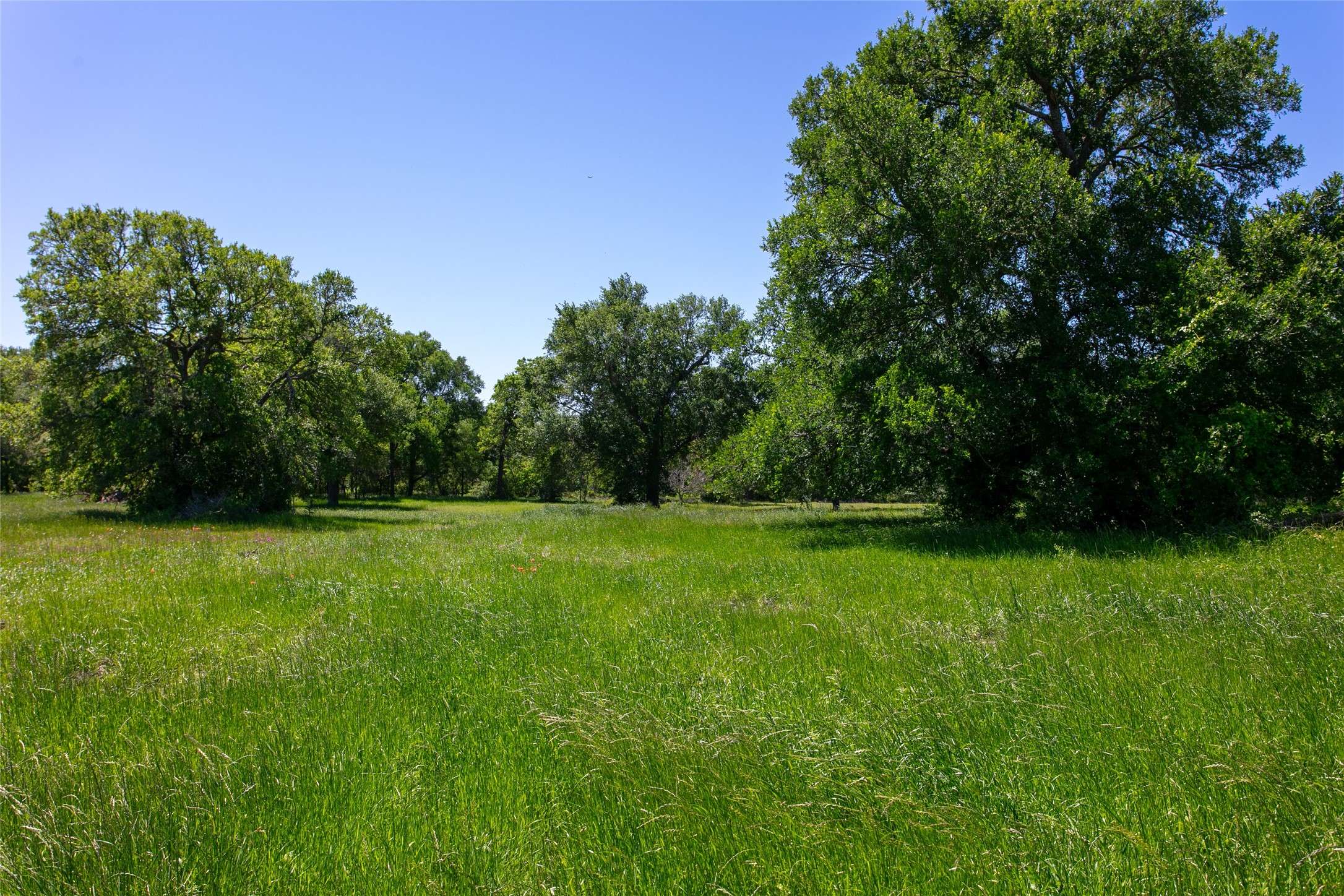 Lot 2B Brazos CT, Caldwell, TX 77836