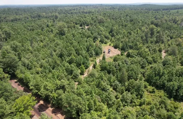 Laneville, TX 75667,TBD County Road 3163