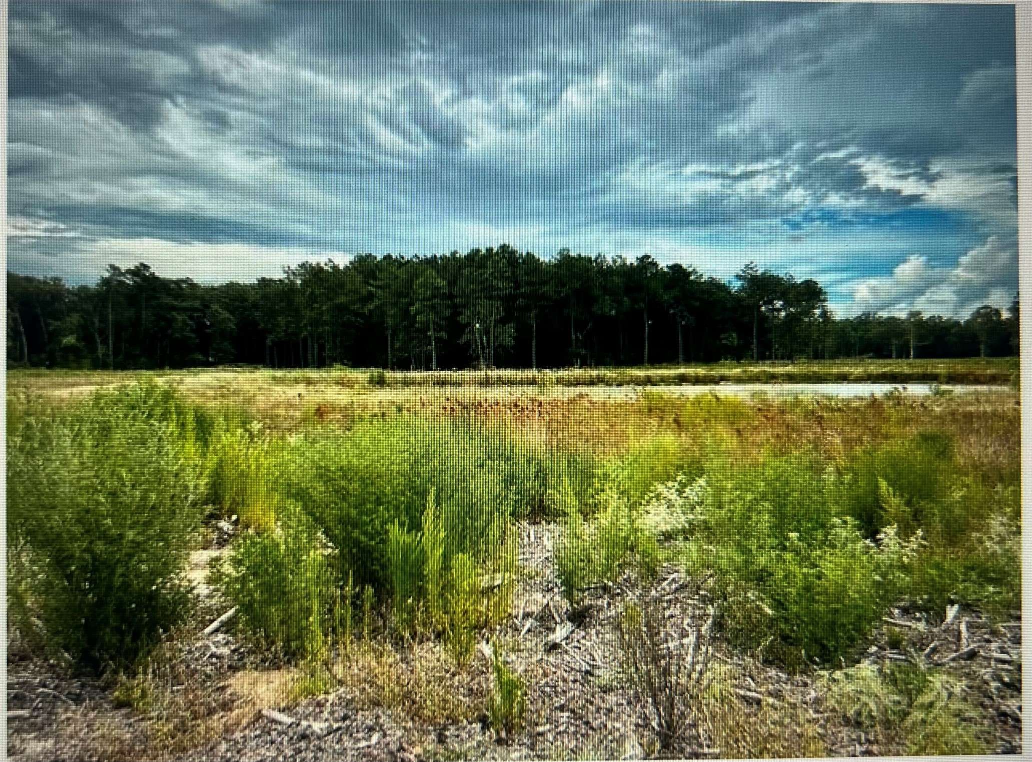 TBD Lot 8 County Road 2184, Cleveland, TX 77327