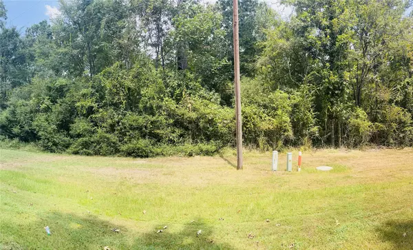 Onalaska, TX 77360,TBD Mistletoe