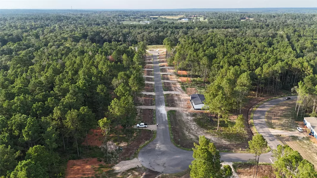 11351 Annie Creek DR, Willis, TX 77378