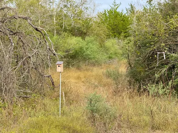 Washington, TX 77880,Lot 26 Wooded Reserve CT