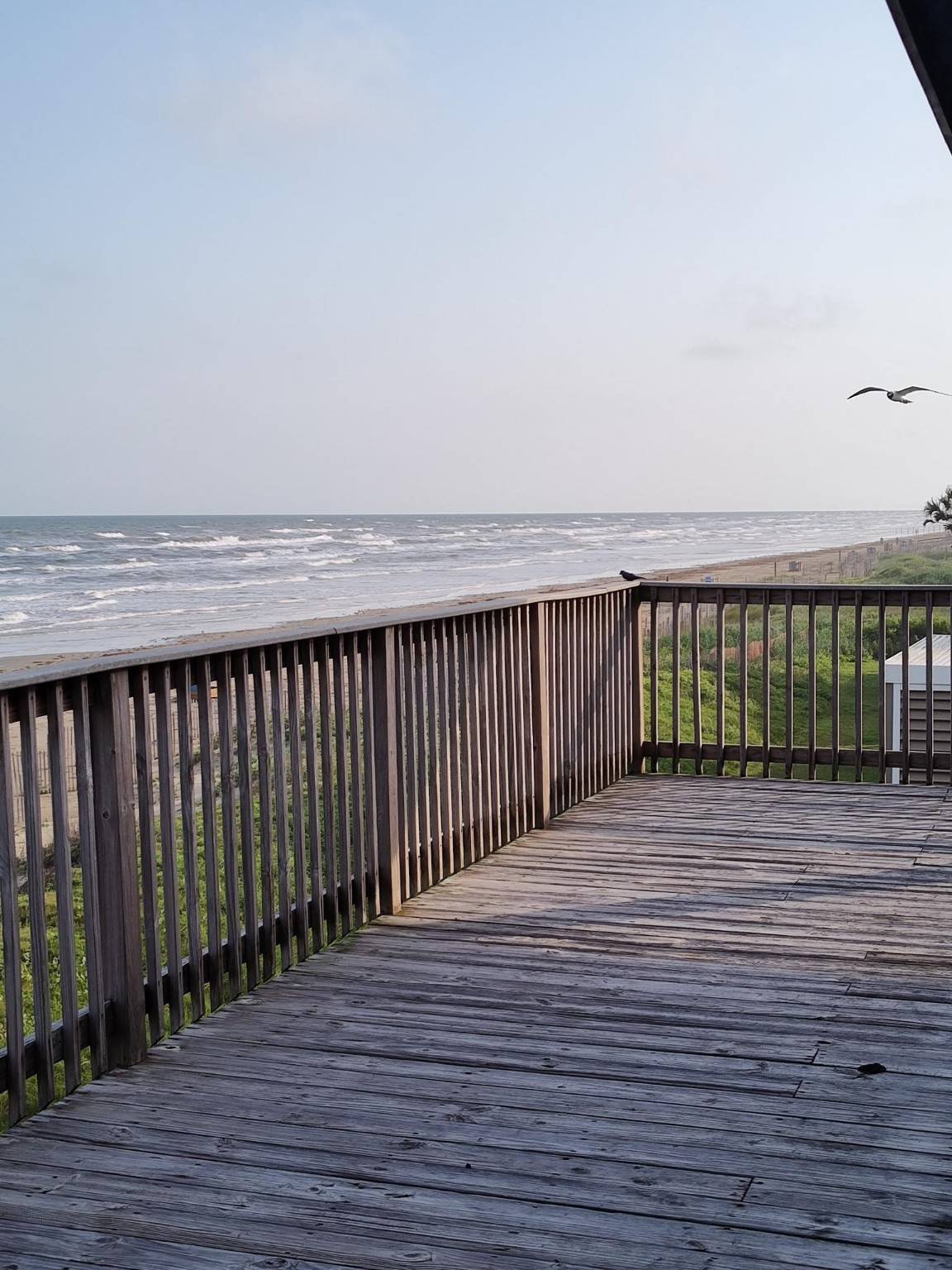 Jamaica Beach, TX 77554,16627 Jamaica Beach RD
