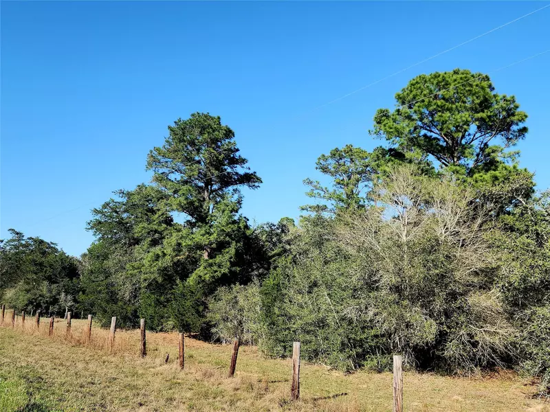 TBD FM 3283, Hallettsville, TX 77964
