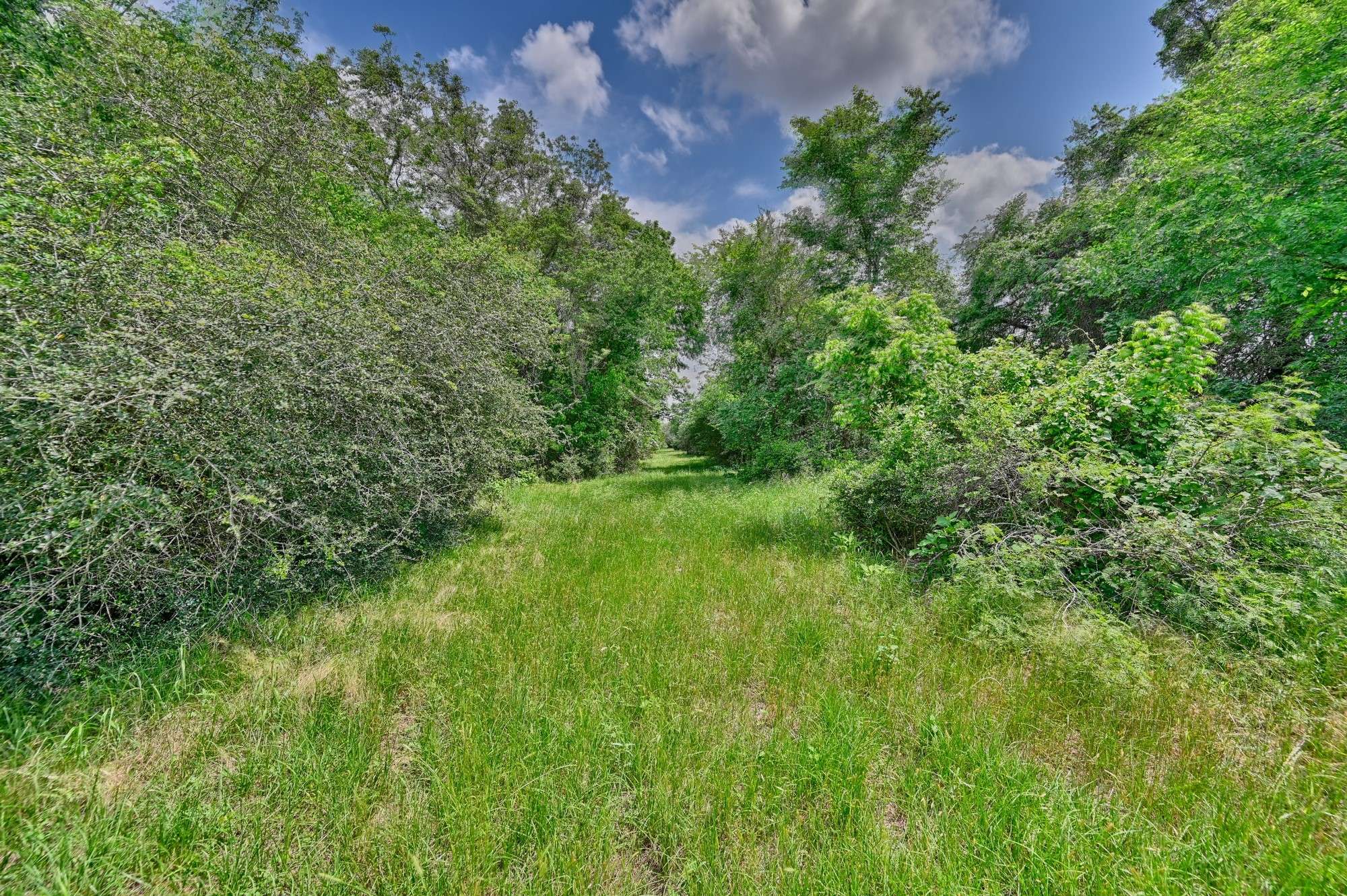 Rosanky, TX 78953,1589 Jeddo RD