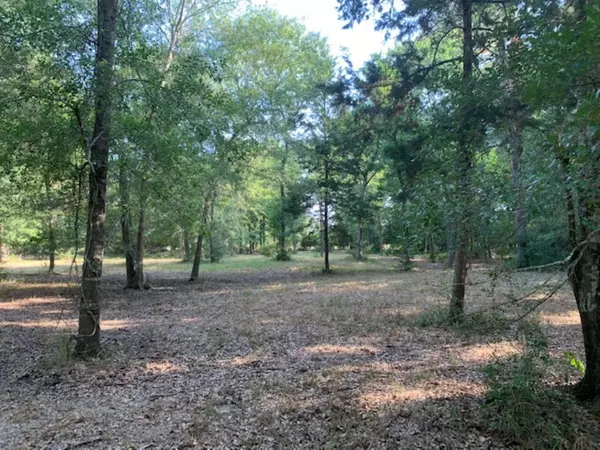 Hockley, TX 77447,0000 Kickapoo RD