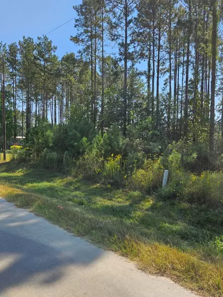 274 County Road 5001, Cleveland, TX 77327