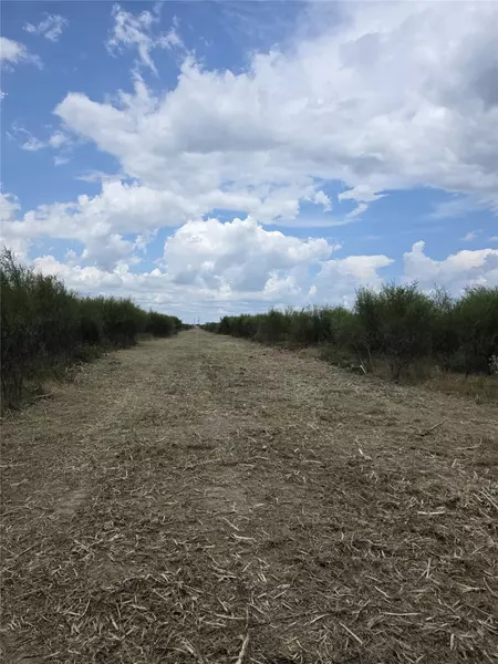 36847 Richard Frey 1-17 RD #17, Hempstead, TX 77445