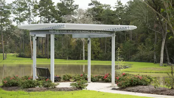 Magnolia, TX 77354,14707 Band Tailed Pigeon CT