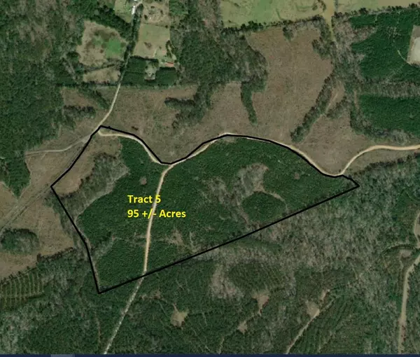 Tract 5 CR 255, San Augustine, TX 75972