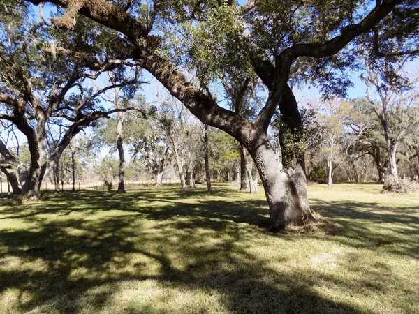 4-13 County Road 161 Shilo LOOP, Cedar Lane, TX 77415