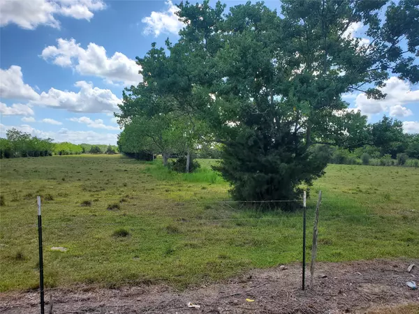 Iowa Colony, TX 77583,10 acres County Road 80 Pursley