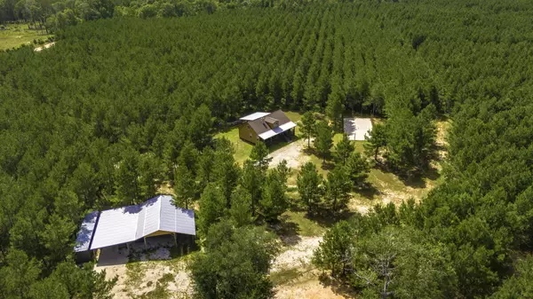 1095 Tram RD, Livingston, TX 77351