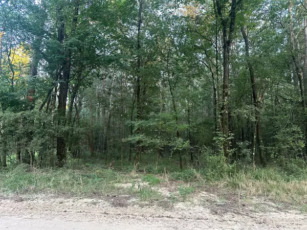 2103 Jenkins RD, Coldspring, TX 77331
