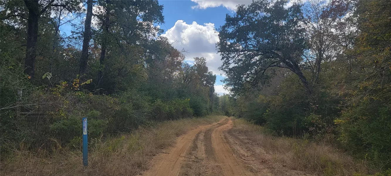 22.37AC. Pr 1100 RD, Leona, TX 75850