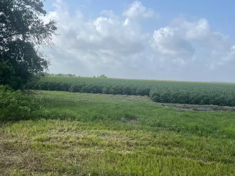 10815 Koym RD, Beasley, TX 77417